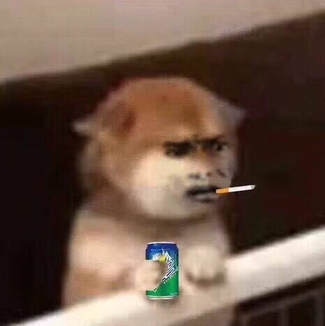 0078CXhbgy1fvdikgwexoj30cy0cz3yv.jpg