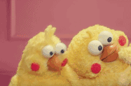 惊奇.gif