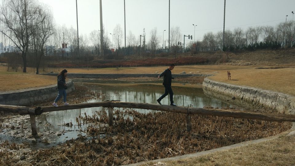 QQ图片20190406002059.jpg