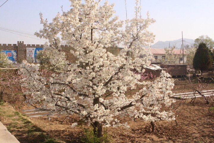 QQ图片20190416025101.jpg