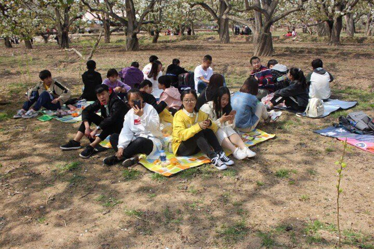 QQ图片20190416015718.jpg