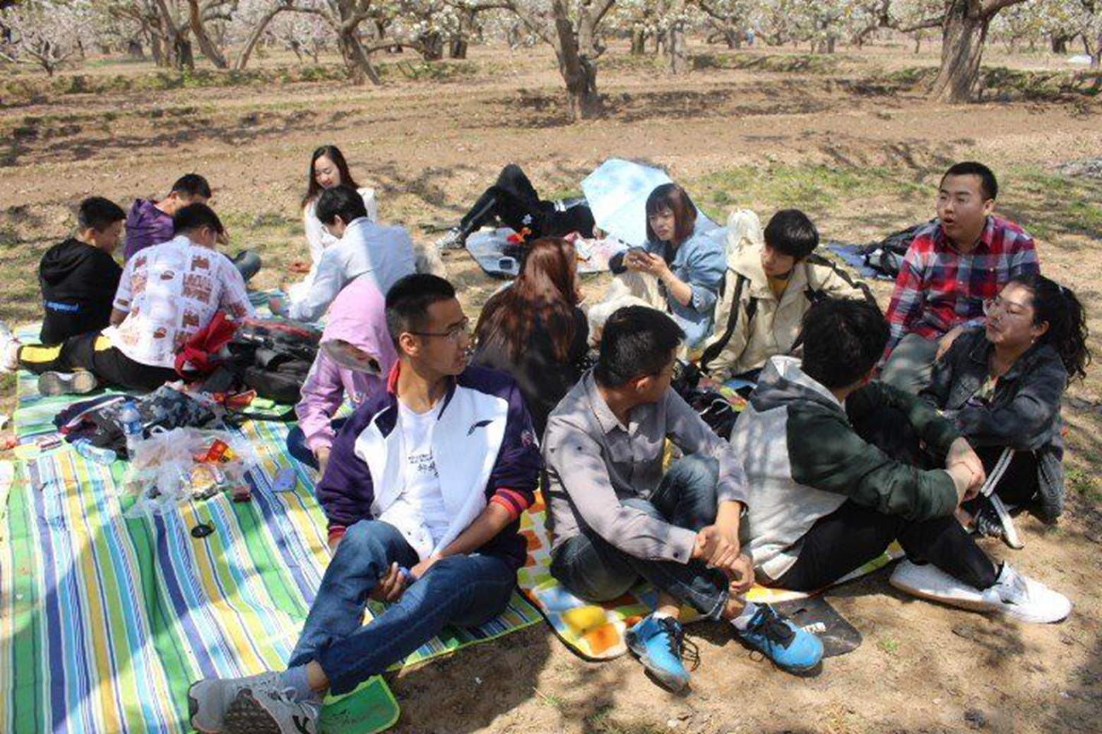 QQ图片20190416015754.jpg