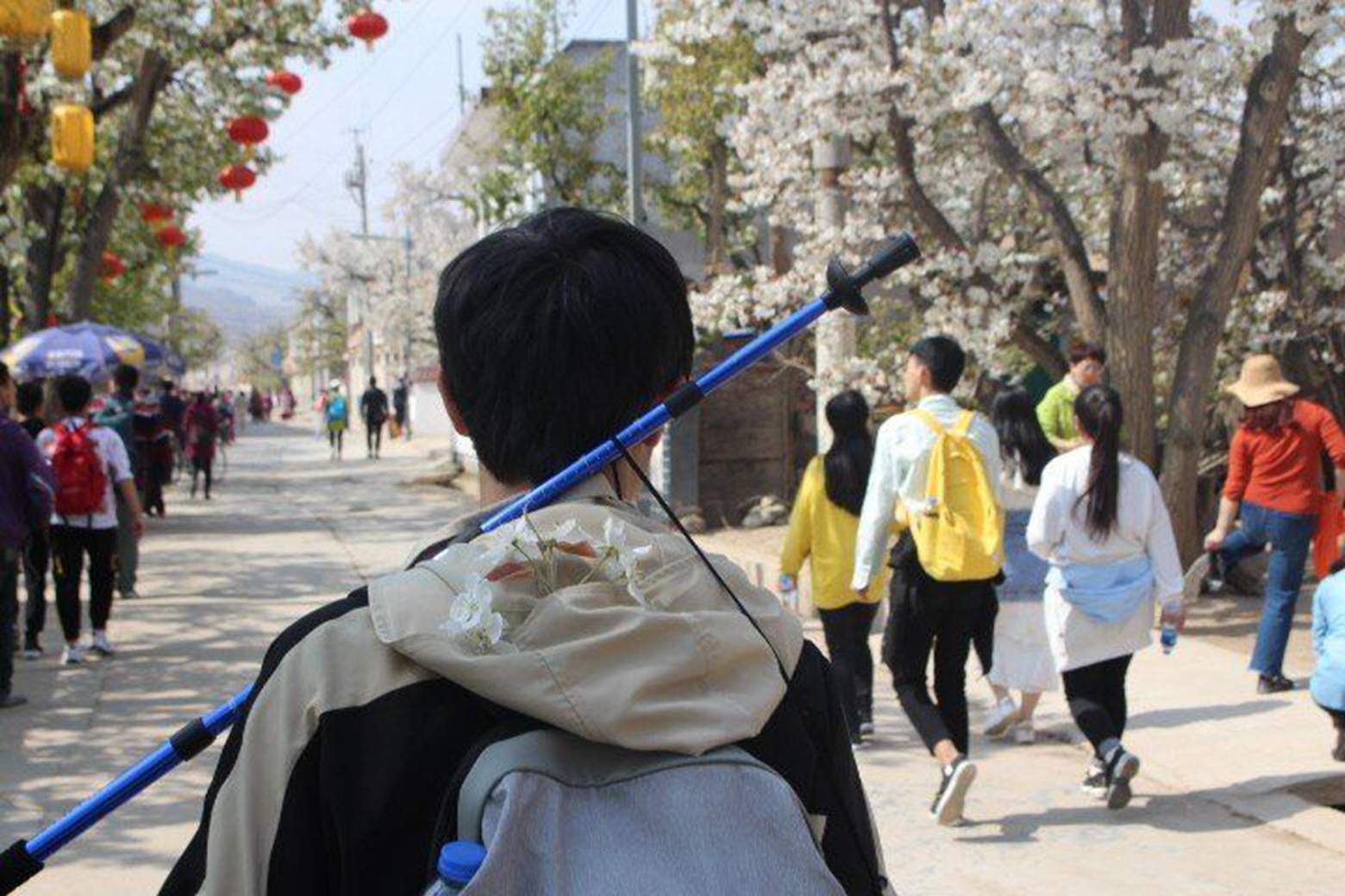 QQ图片20190416015557.jpg