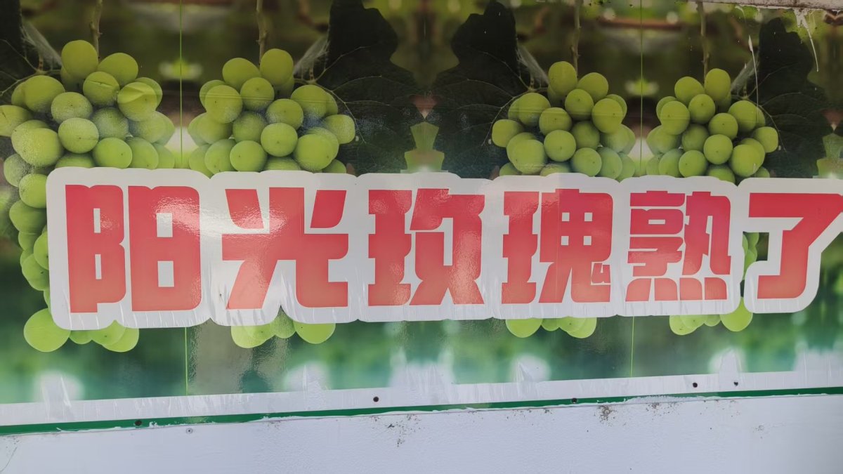 微信图片_20260811152603_852_1.jpg