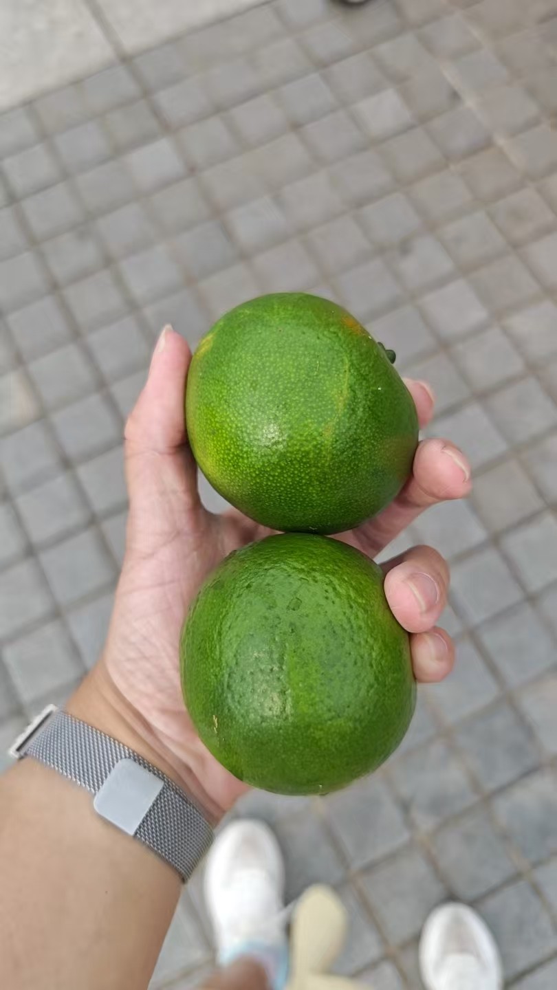 微信图片_20260827110813.jpg