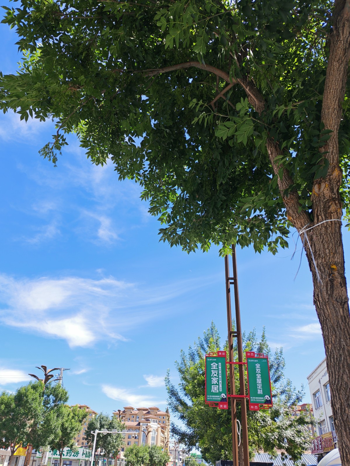 IMG_20260817_134107.jpg
